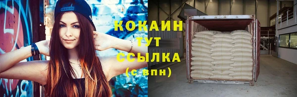 индика Горно-Алтайск