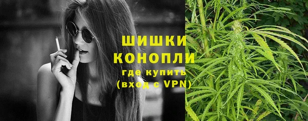 индика Горно-Алтайск