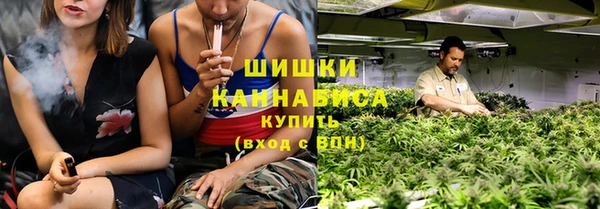 индика Горно-Алтайск