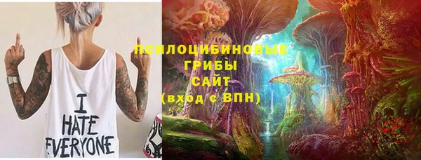 индика Горно-Алтайск