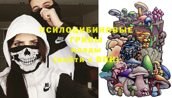 молекула духа Вязьма