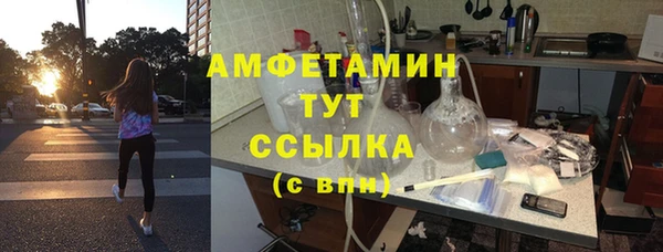 молекула духа Вязьма
