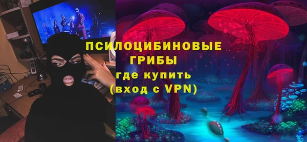 молекула духа Вязьма