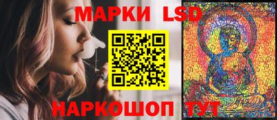 гашик Донецк