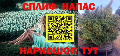 каннабис Дубна