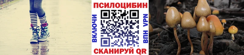 купить   ОМГ ОМГ ТОР  Галлюциногенные грибы GOLDEN TEACHER  Грязи 