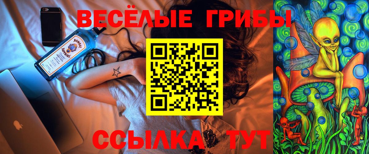 Псилоцибиновые грибы GOLDEN TEACHER Грязи